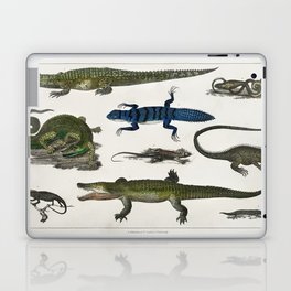 Collection of Various Reptiles Laptop Skin
