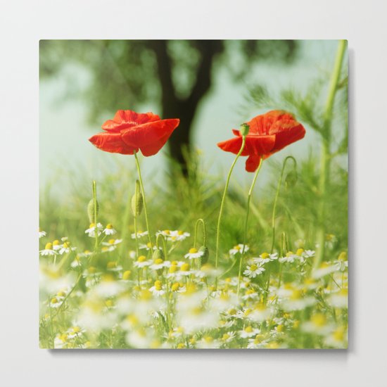 Poppy Metal Print