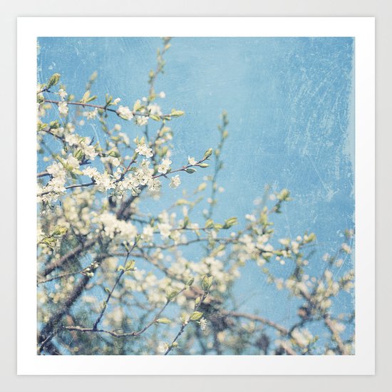 White and Blue Spring no. II Art Print