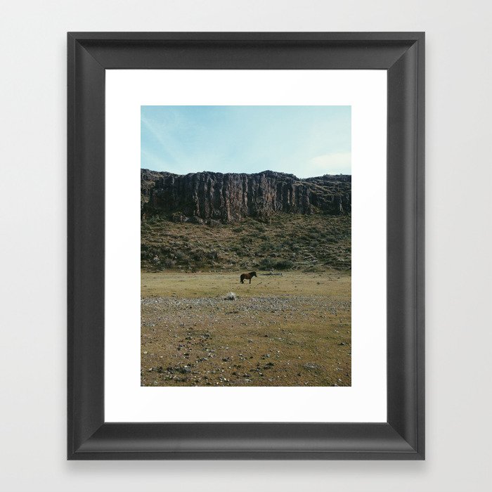 Rock Pasture Pony Framed Art Print