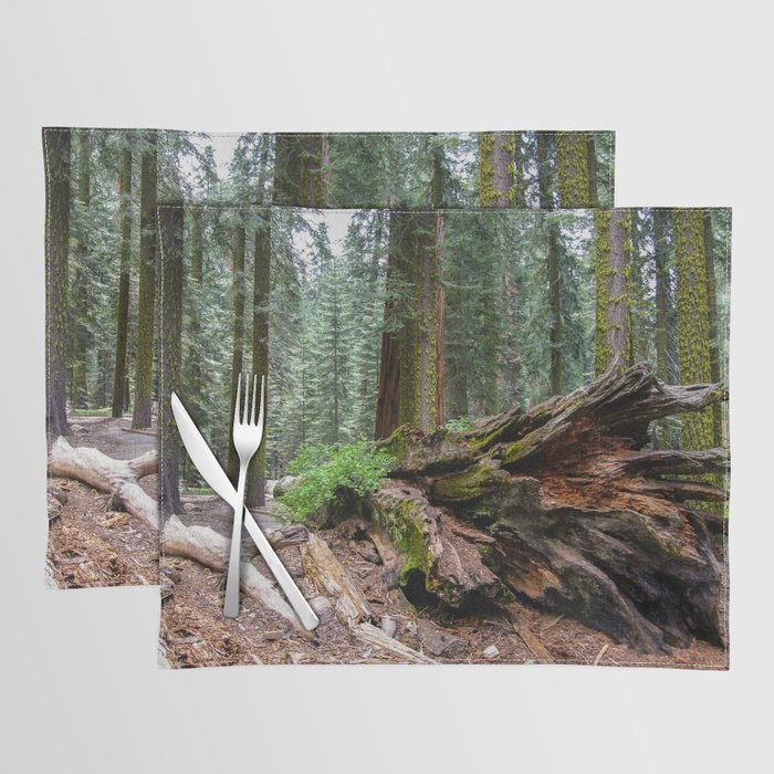 Sequoia Trees, McKinley Grove, California Placemat