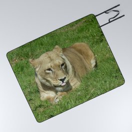 Lazy Lounging Lioness Picnic Blanket