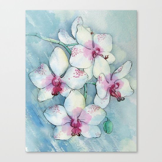 Orchids 01 Canvas Print