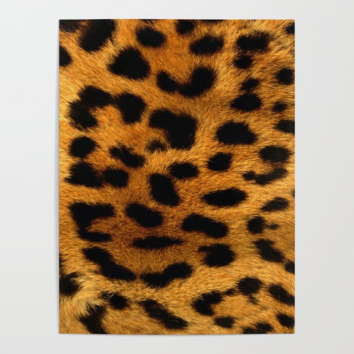 Trendy girly pattern wild safari animal Leopard Print Poster