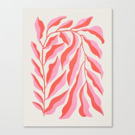 Ferns: Peach Matisse Edition Canvas Print