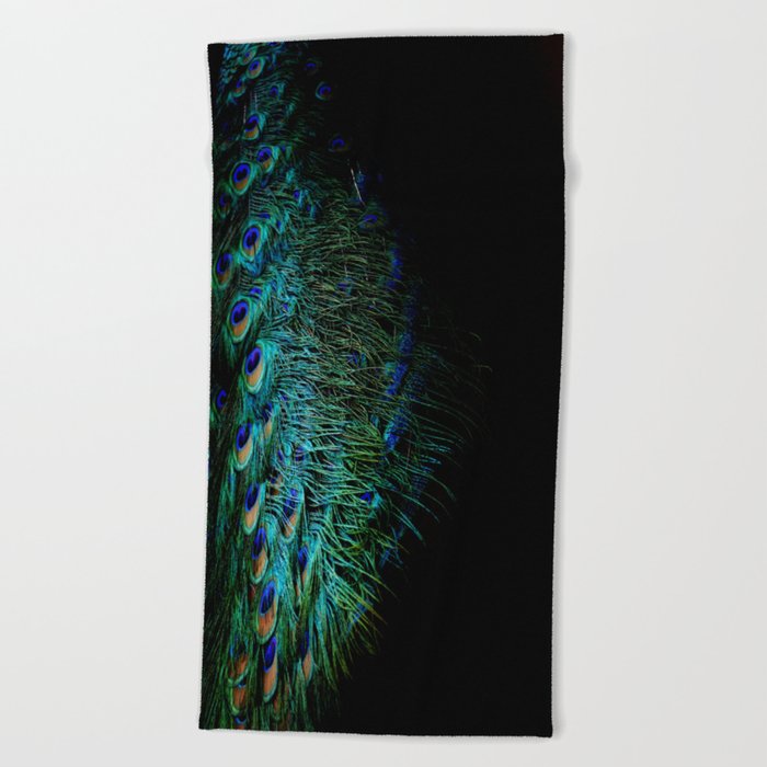 Peacock feathers on a black background Beach Towel