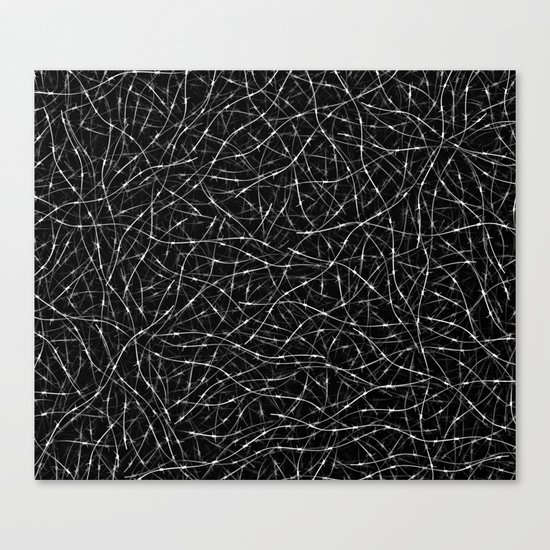 Barbed wire Canvas Print