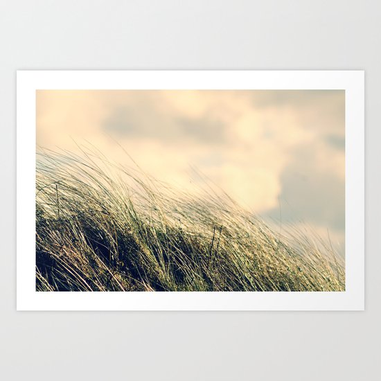 Summer dreaming Art Print