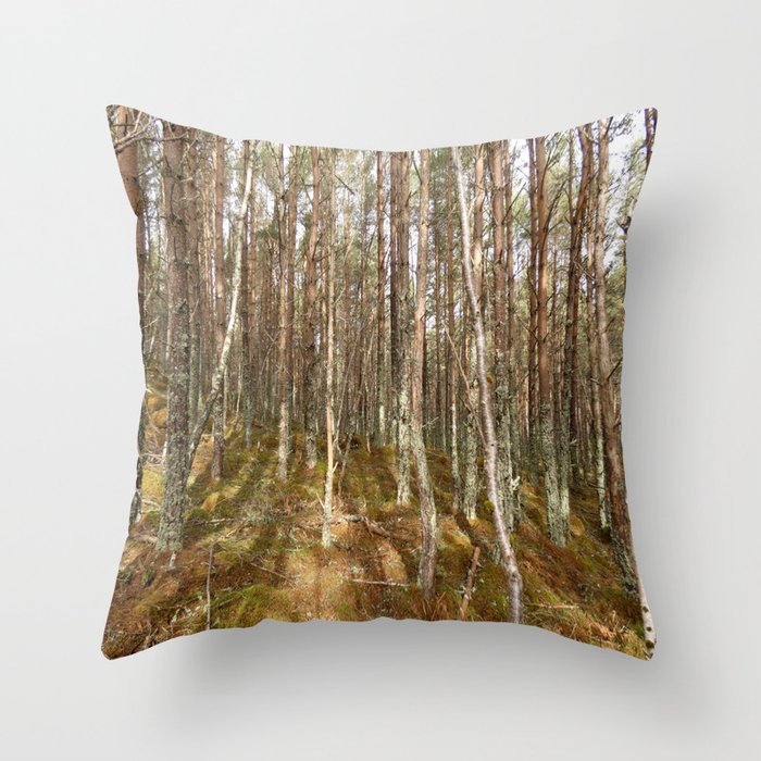Where Fairies Dance in the Scottish Highlands  Throw Pillow