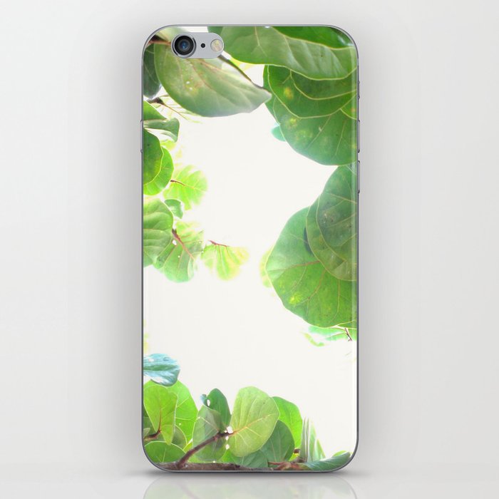 Through the Leaves iPhone Skin
