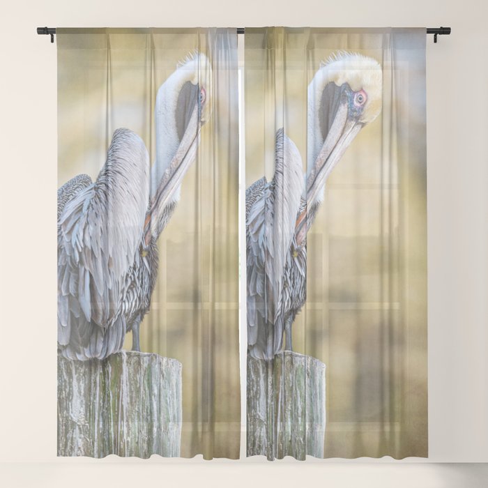 Sheer Curtain