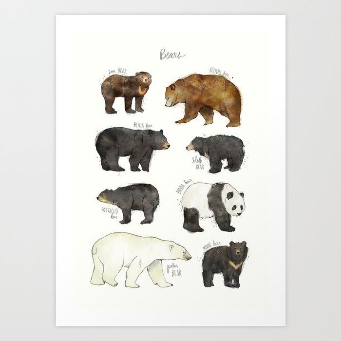 Bears Kunstdrucke Bears Kunstdrucke