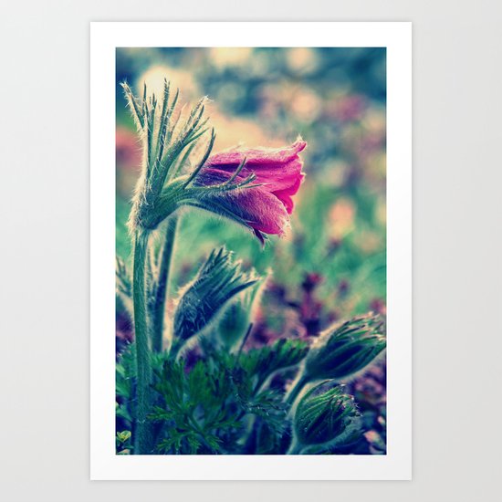 april rain II Art Print