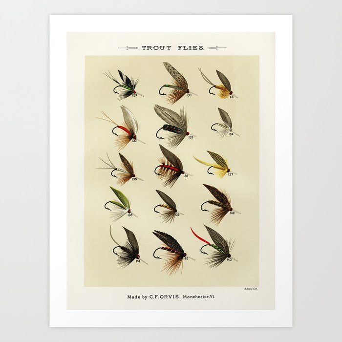Vintage Fly Fishing Print - Trout Flies Art Print by SFT Design Studio