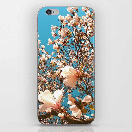 magnolia tree II iPhone & iPod Skin