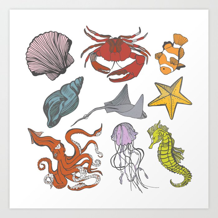 Sea-life Collection Art Print
