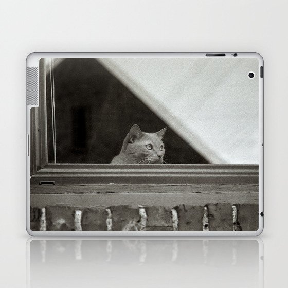 Cat in Window I Laptop & iPad Skin