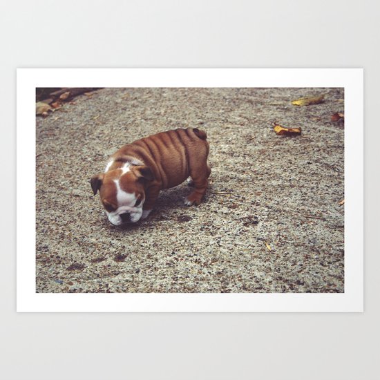 Pudge Art Print