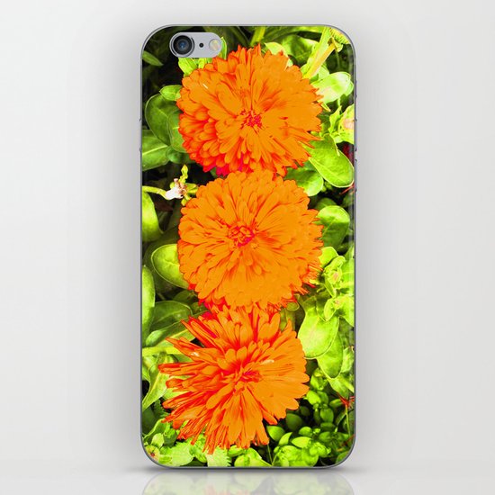 Pop Art Flowers iPhone & iPod Skin