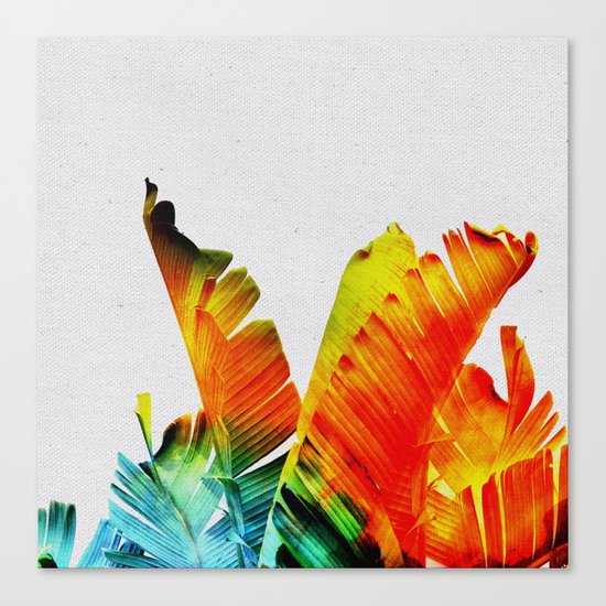Enchanted Banana Leaves Canvas Print