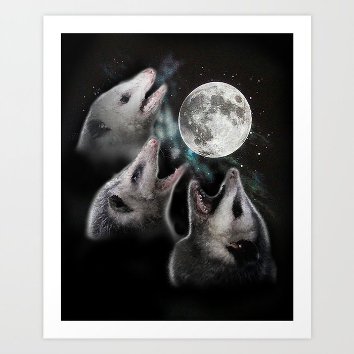 3 opossum moon Kunstdrucke
