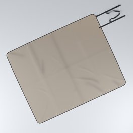 Neutral Medium Gray Beige Solid Color PPG Discover PPG1021-3 - All One Single Shade Hue Colour Picnic Blanket
