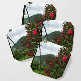 The Flowers Mountain Coaster
