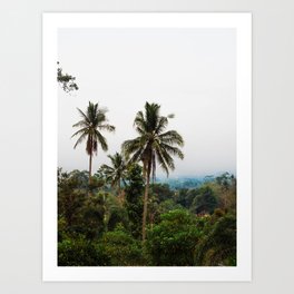 Palm Trees Art Print