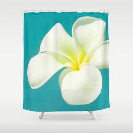 pua melia pakahikahi : flowers in the sky Shower Curtain