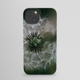 Dandelion iPhone Case