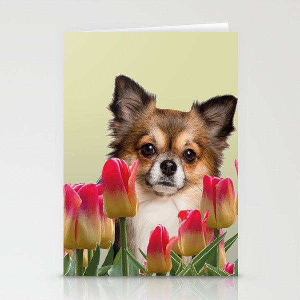 chihuahua between red tulips spring flowers Stationery Cards