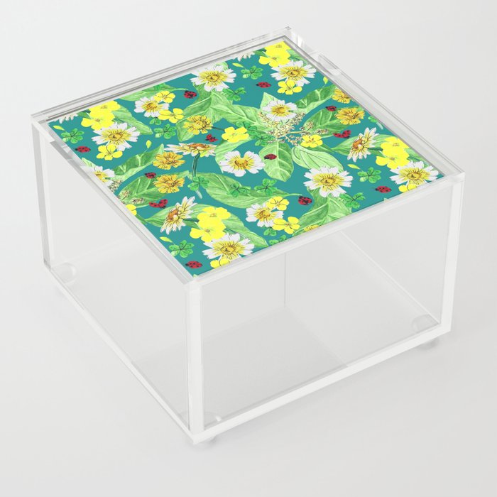 Spring Acrylic Box