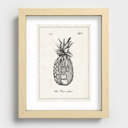 Power plant - Pineapple Recessed Framed Print