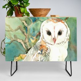 Barn Owl, woodland design owl Credenza
