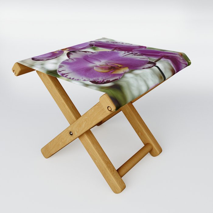 Purple Moth Orchid Folding Stool