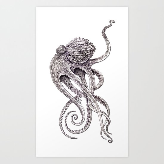 Cephalopod Art Print