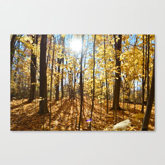 Bright fall day Canvas Print
