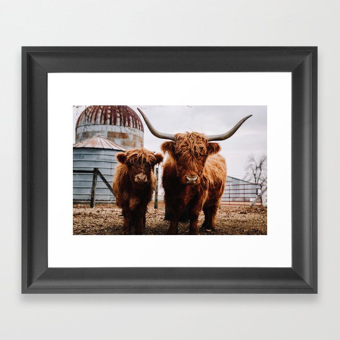 Scottish Highland Cattle: Mom & Babe  Framed Art Print