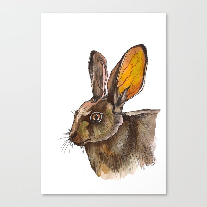 rabbit Canvas Print