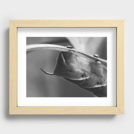 worm 2016 Recessed Framed Print