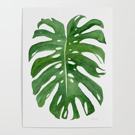 Tropical Monstera Leaf Poster