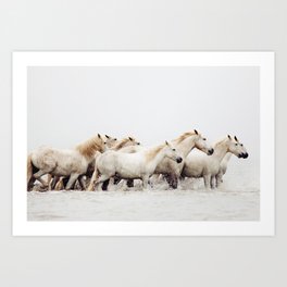 Sea Horses - Minimalist Nature Photography Art Print