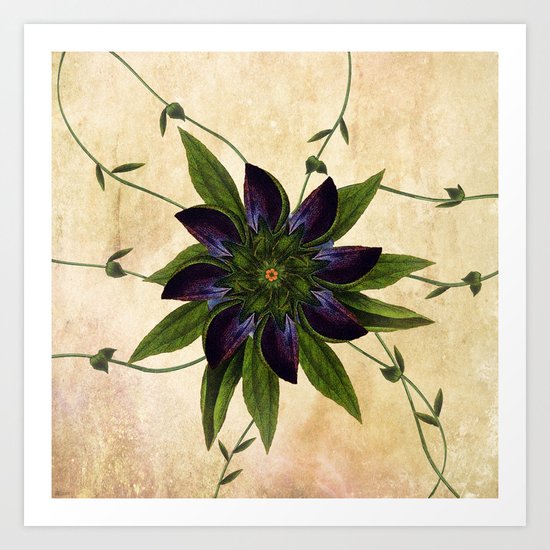 Jackmanii Art Print
