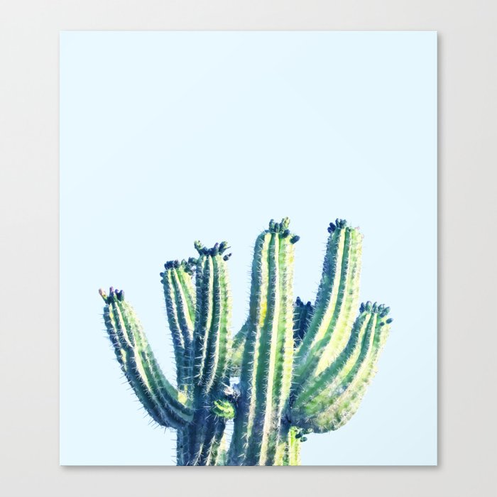 Cactus #society6 #decor #buyart Canvas Print