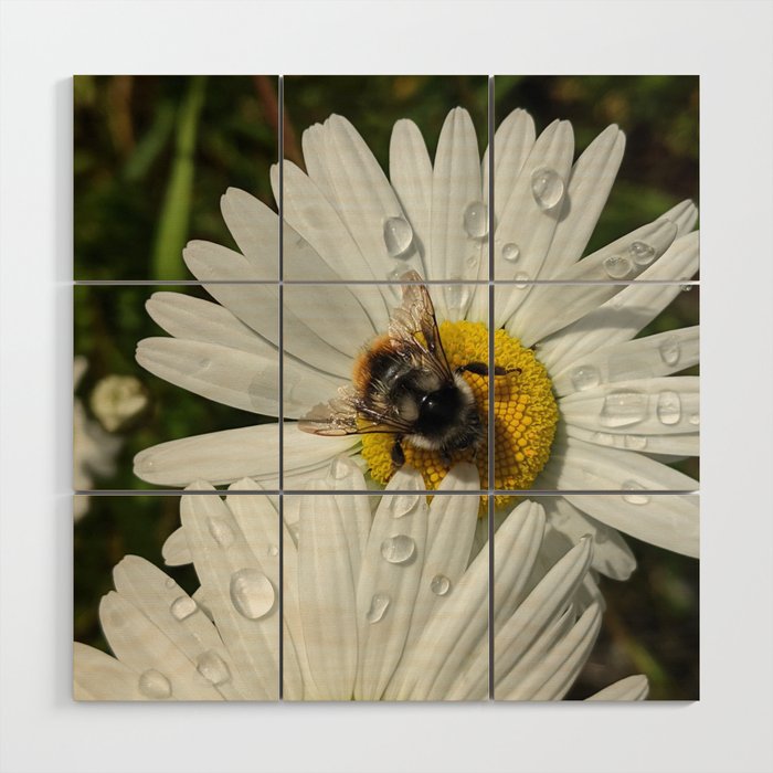 Busy As A Bee: Tattered But Not Tired Wood Wall Art