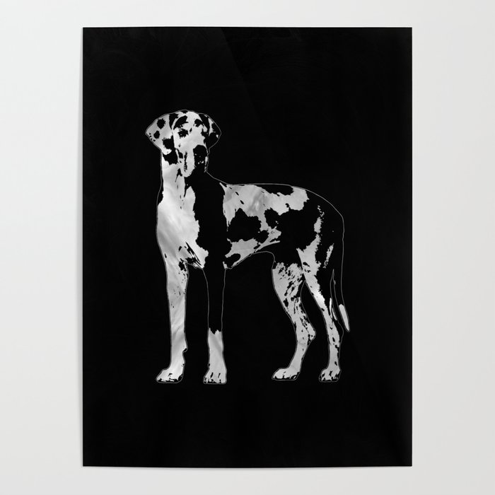 Silver harlequin great best sale dane