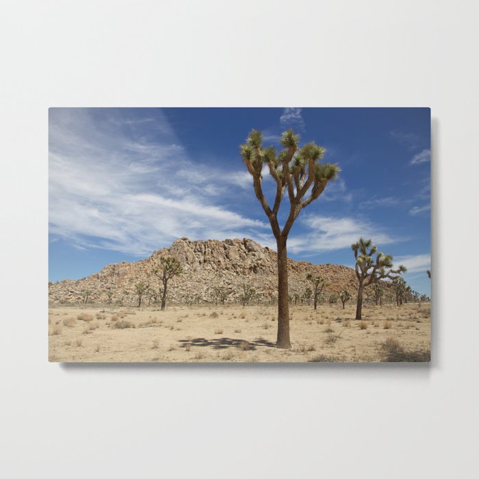Desert Landcape 3 Metal Print