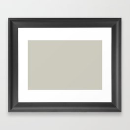 Ultra Pale Green Gray Solid Color Pairs PPG Metallic Mist PPG1032-1 - One Single Shade Hue Colour Framed Art Print