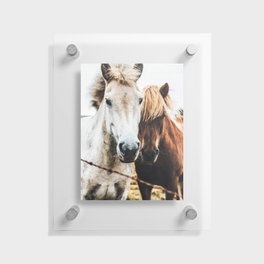 Horse Floating Acrylic Print