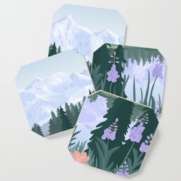 Denali National Park Coaster